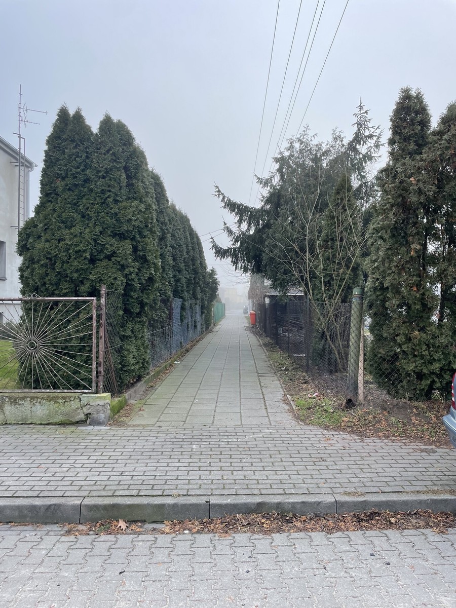 picture_11