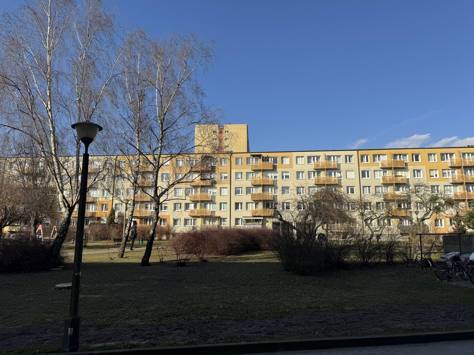 picture_7