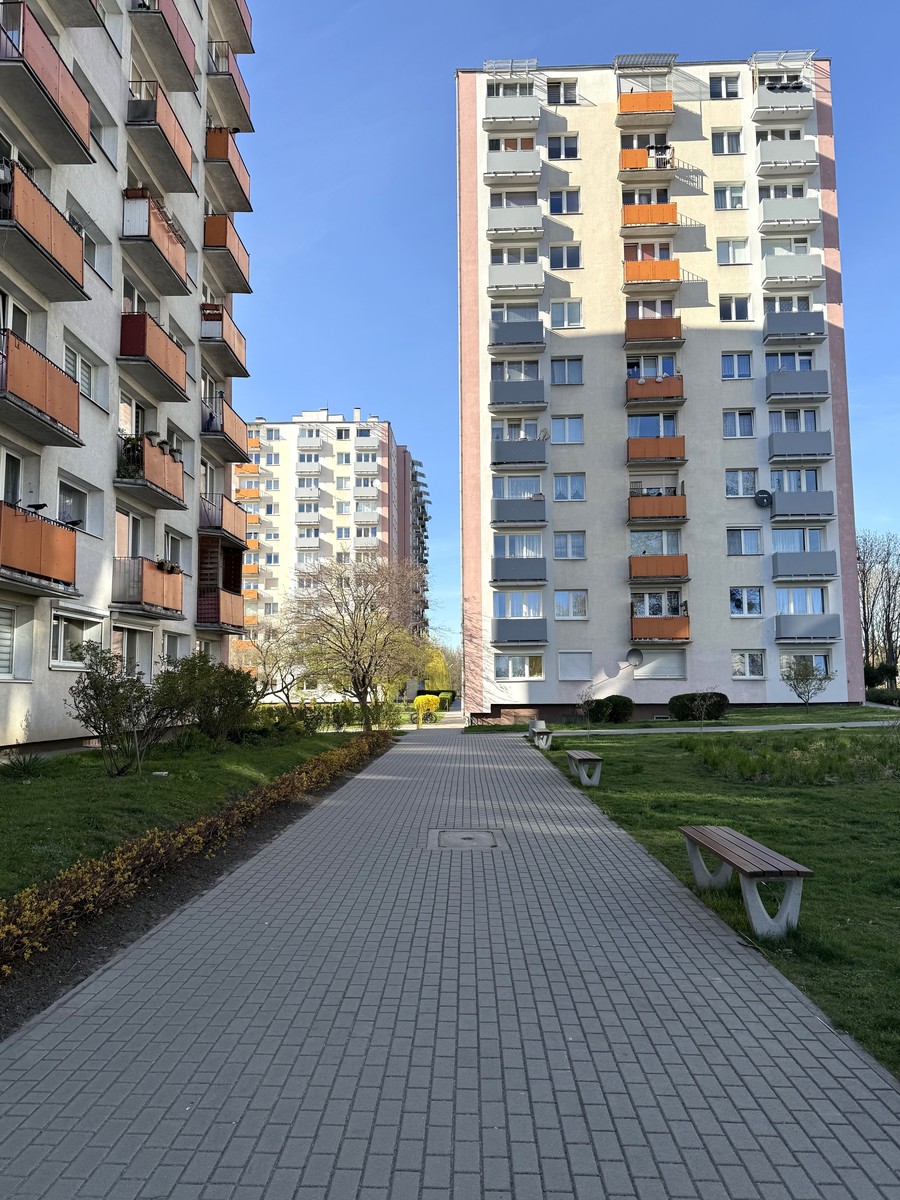 picture_11