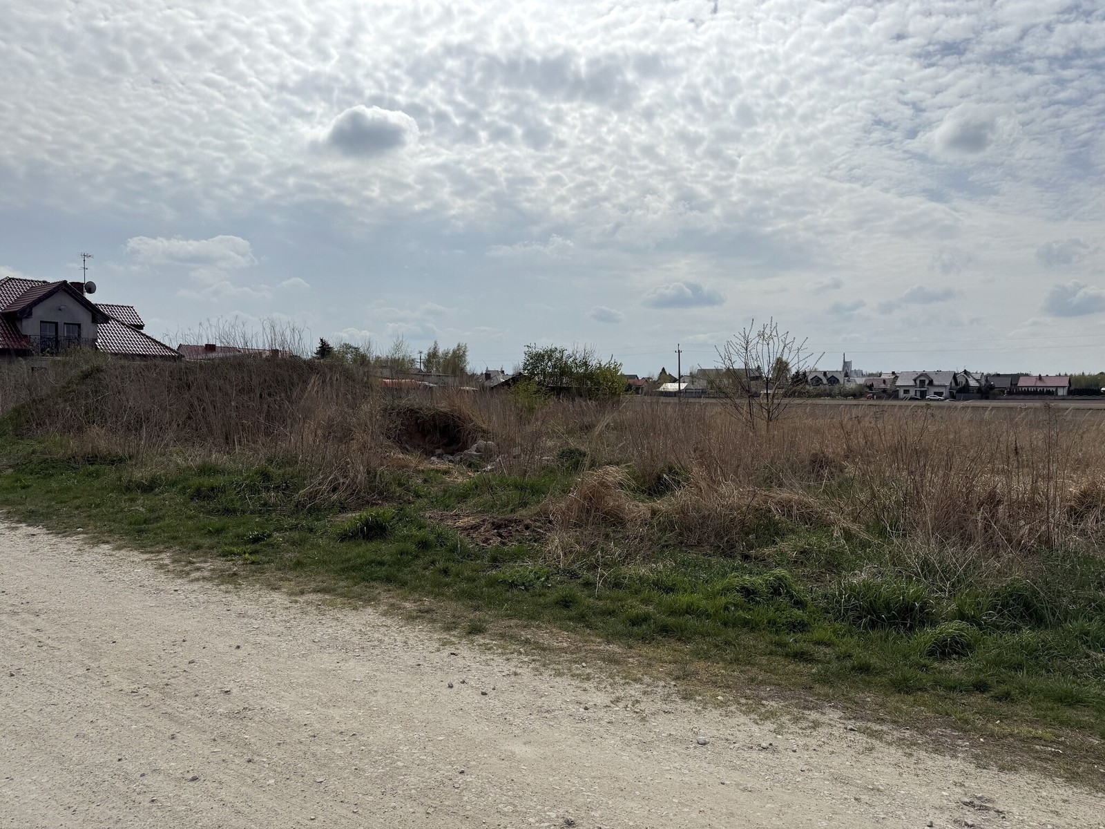 picture_3
