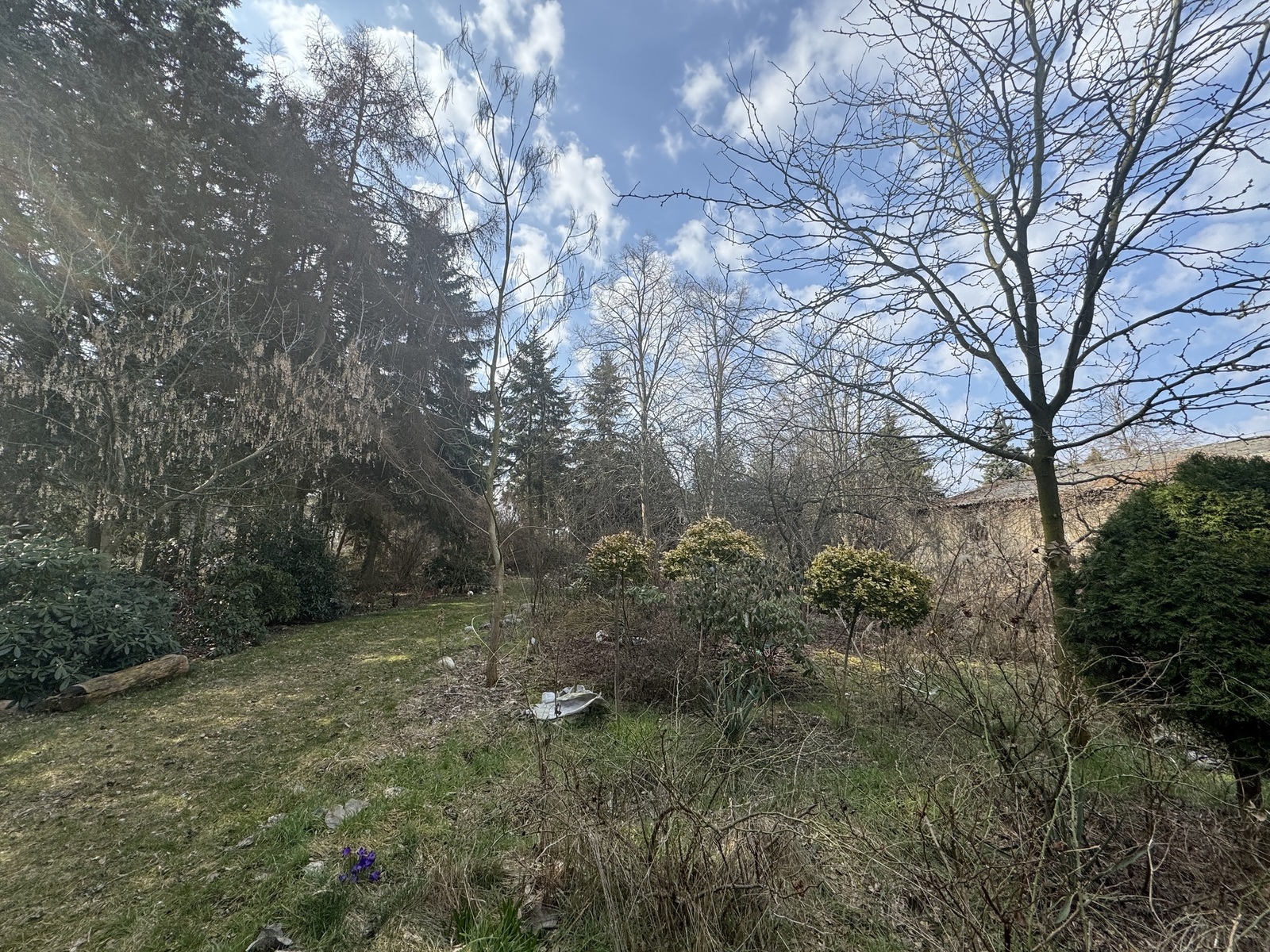 picture_14