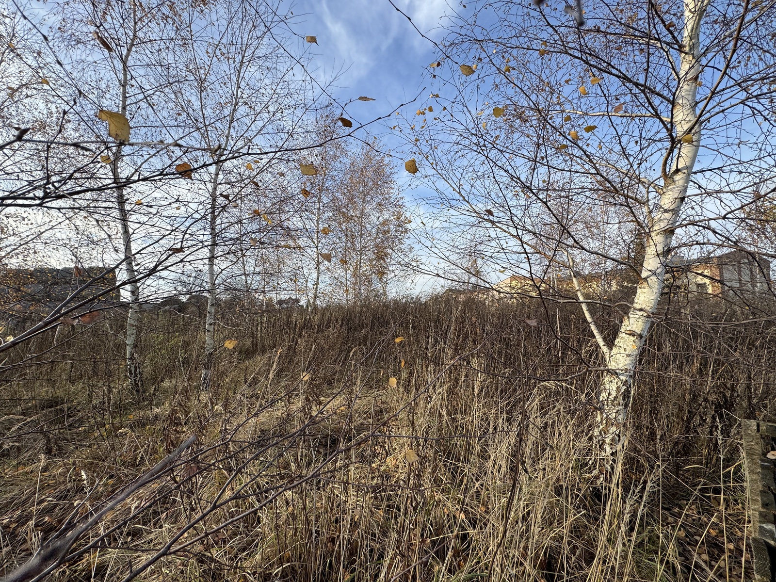 picture_6